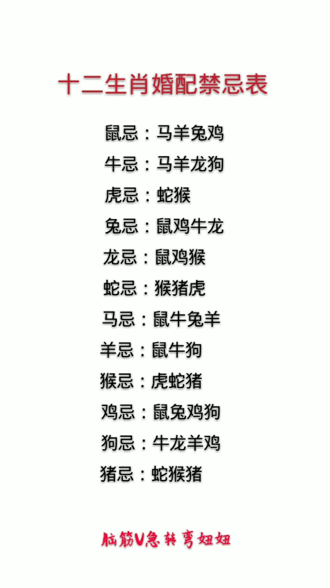 你属什么?
