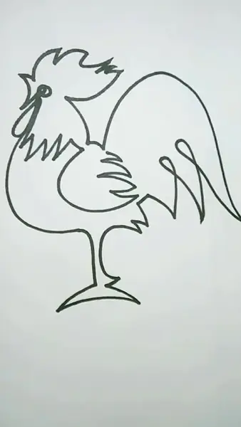 一笔画公鸡画画简笔画