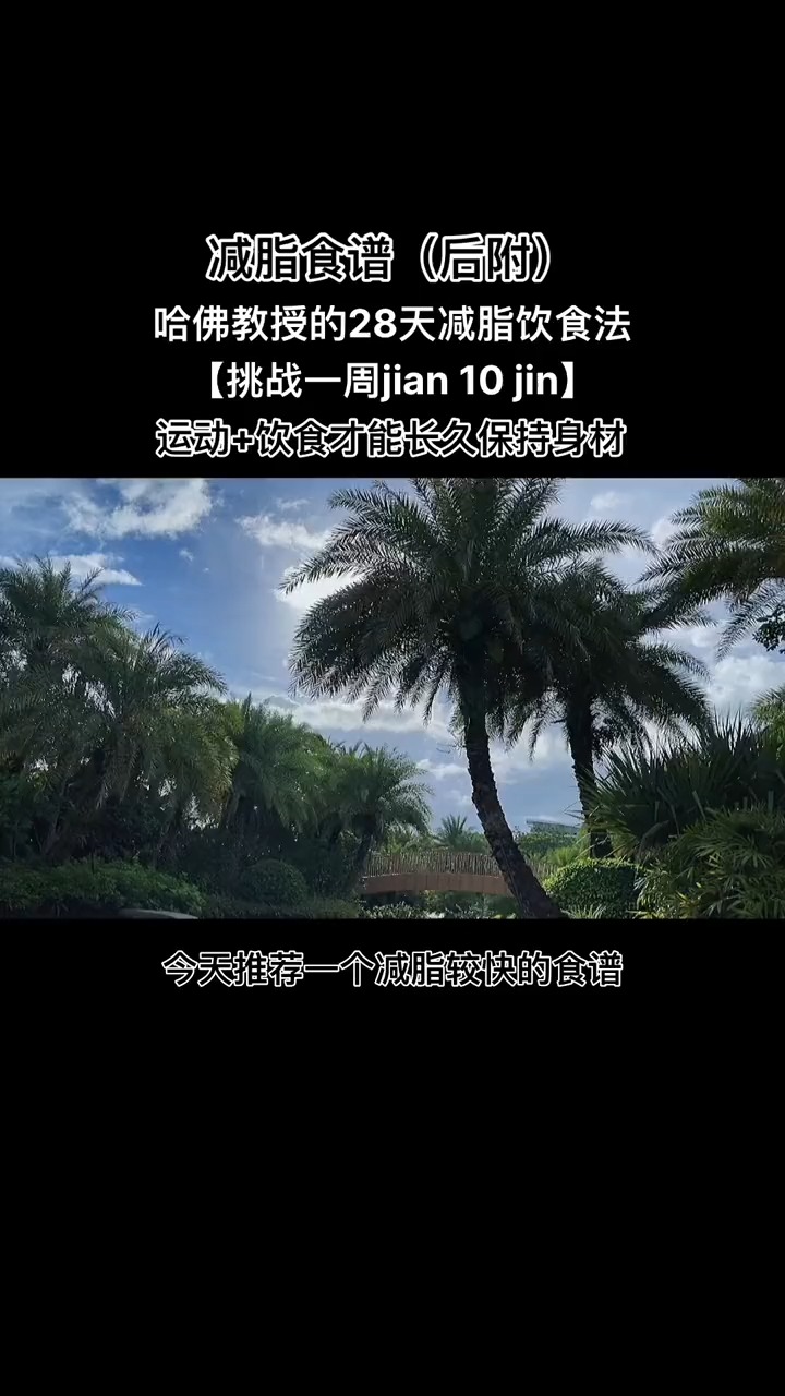 哈佛大学教授Osama28天减脂食谱解析,高蛋白低脂肪