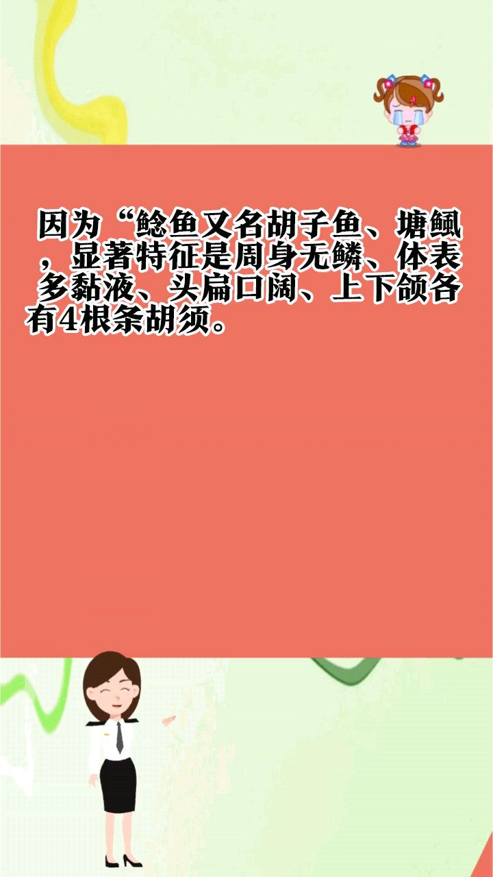 请问鲶鱼是什么梗呢?