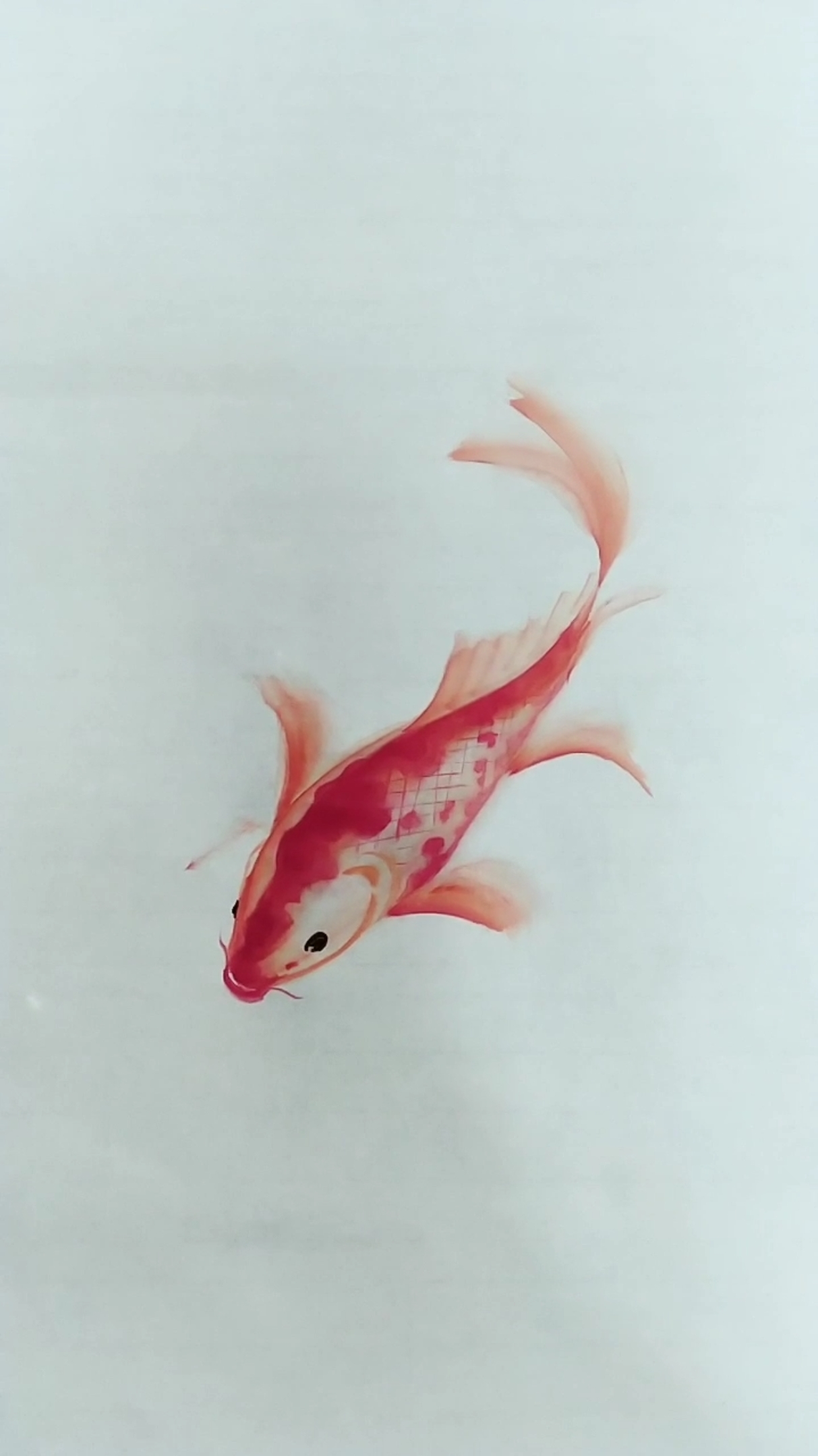 #画画原来如此简单#画锦鲤鱼祝大家金玉满堂!