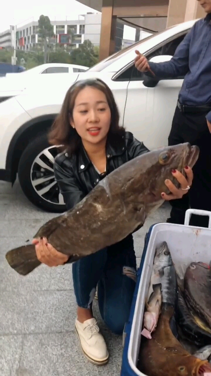 我们南油的鱼样子好奇怪