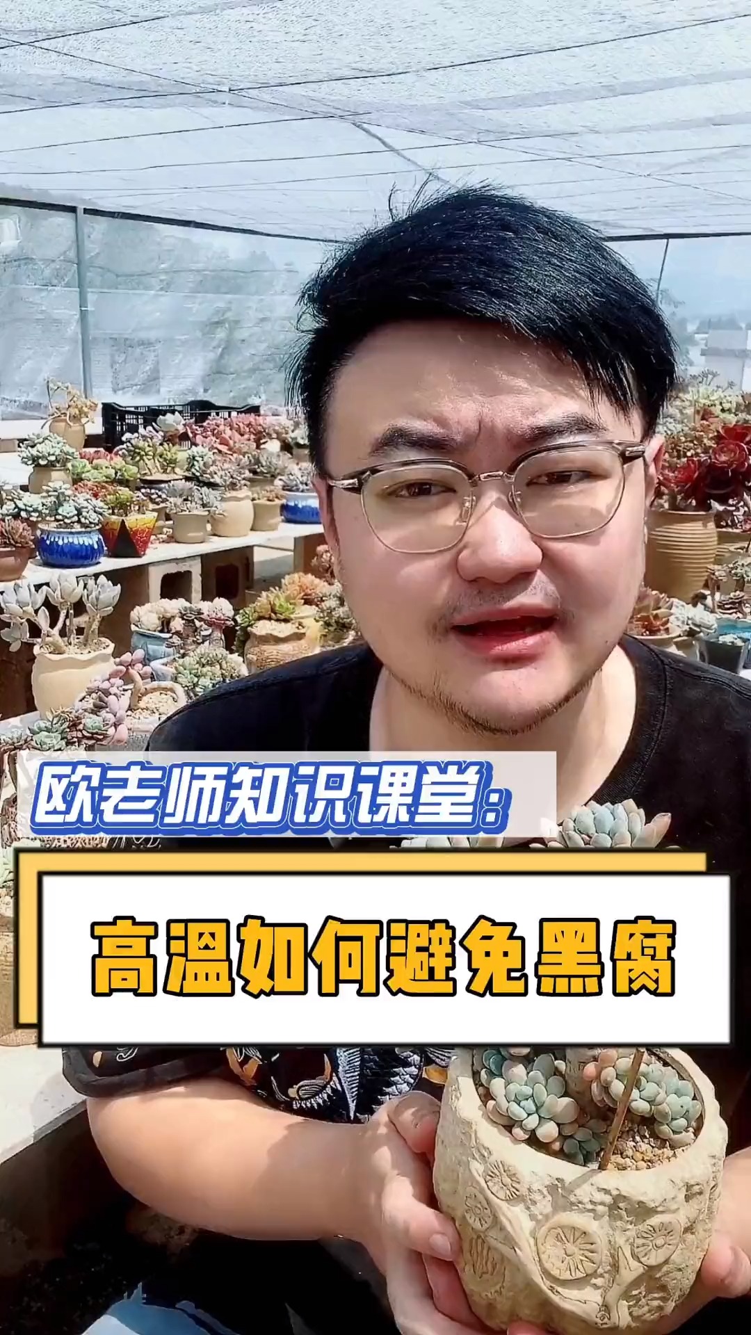 #有一种可爱叫多肉!#夏季怎么避免多肉黑腐呢?这个视频告诉你#多肉#多肉植物#多肉养护#