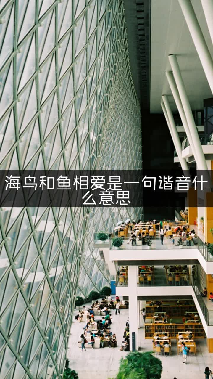 海鸟和鱼相爱是一句谐音什么意思