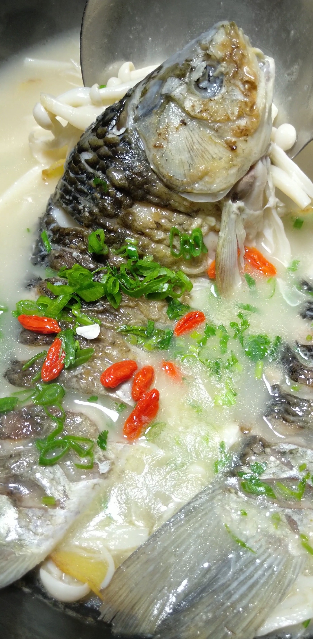 #美食#下奶鲫鱼汤