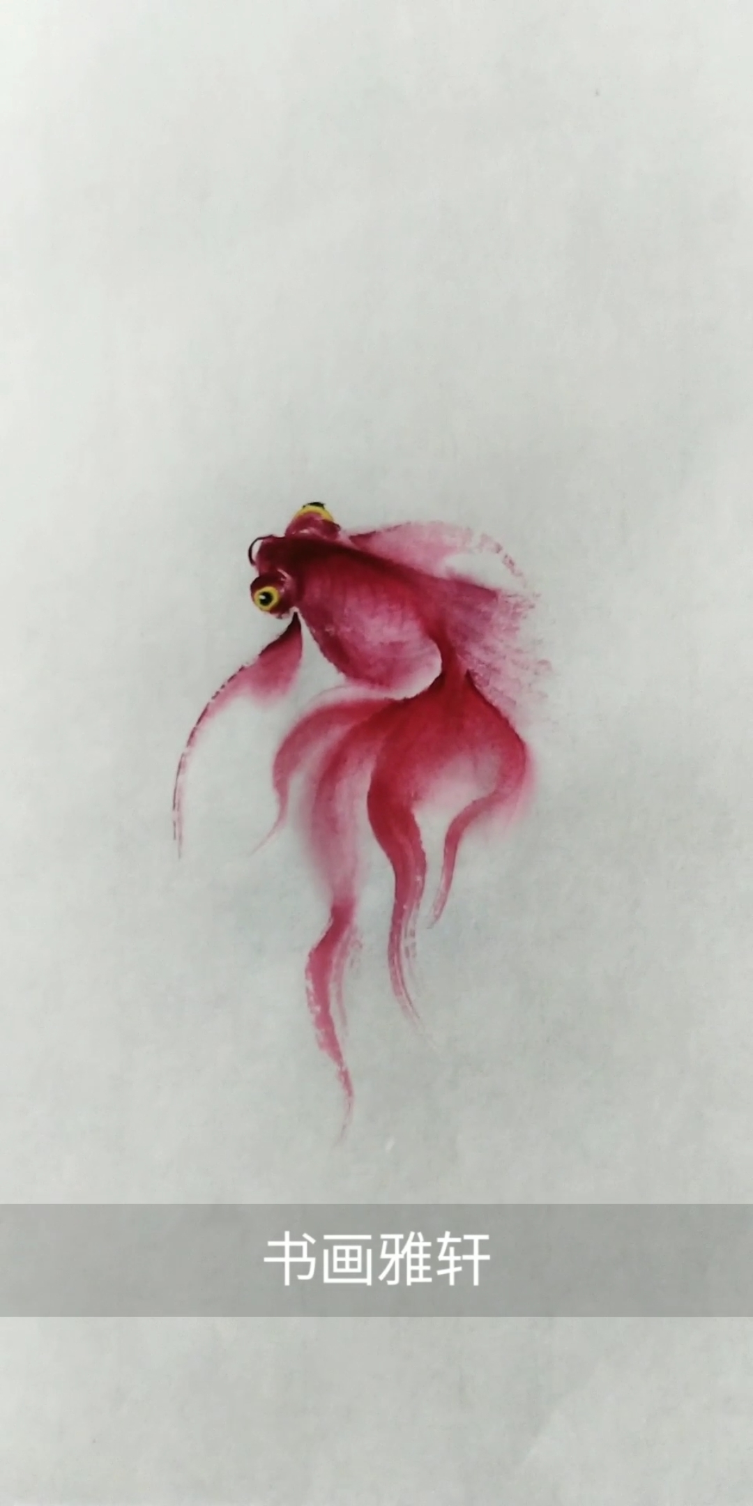 #中国画#画一条带仙气的金鱼,祝大家六时吉祥!