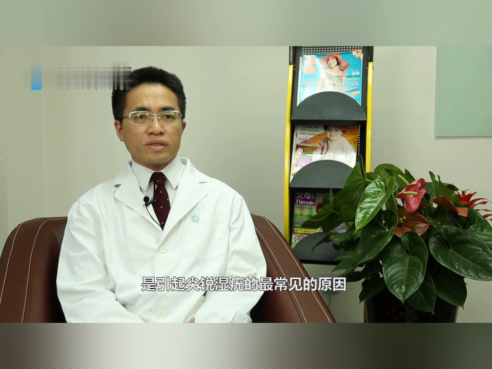 引起尖锐湿you的原因