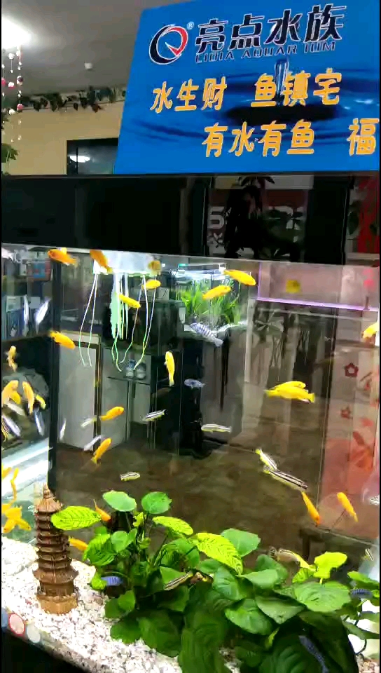 个性订制