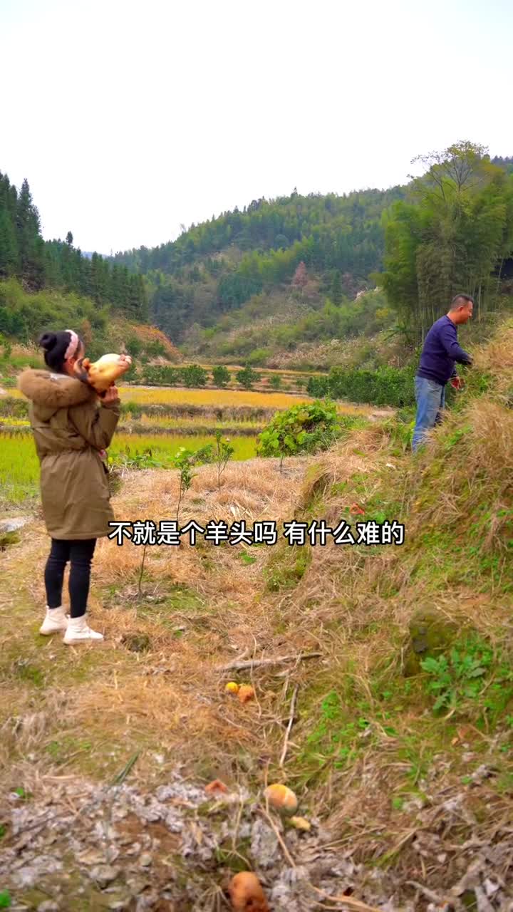 新农人计划2021农村生活美食创作人舅舅送了妹妹一个羊头,今天做铁锅炖羊头肉,软烂入味,太