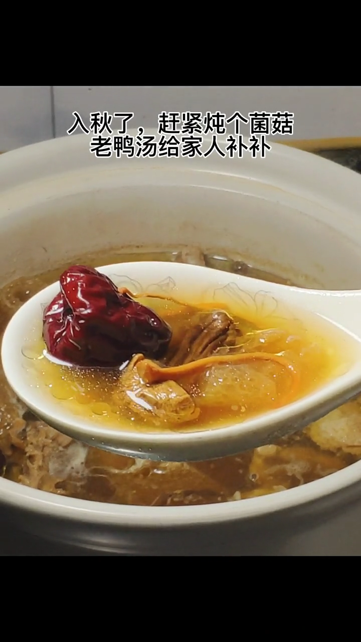鸭汤怎么炖好喝又营养?