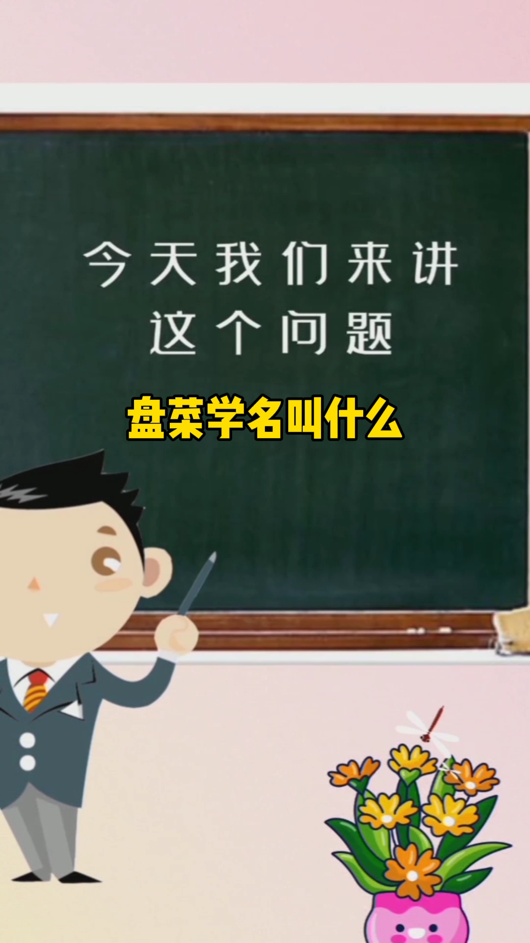 盘菜学名叫什么?