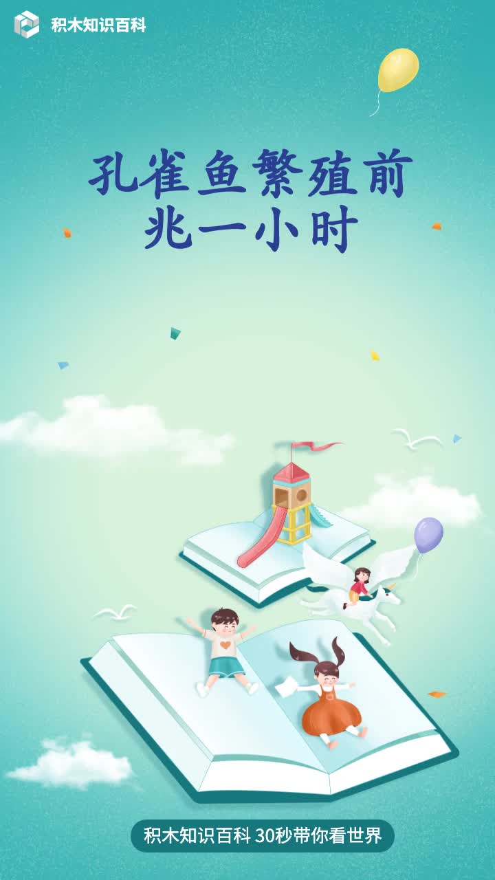 孔雀鱼繁殖前兆一小时