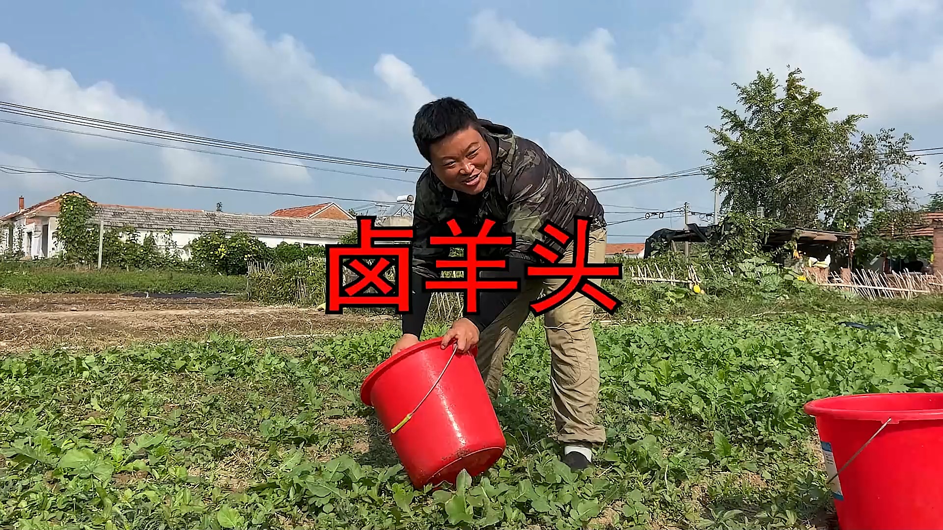 表哥今天拿了四个羊头来,正好一人一个,给大家做个卤羊头。