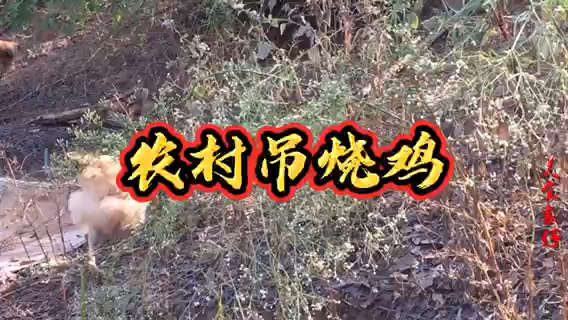 吊烧鸡的制作方法及配料。