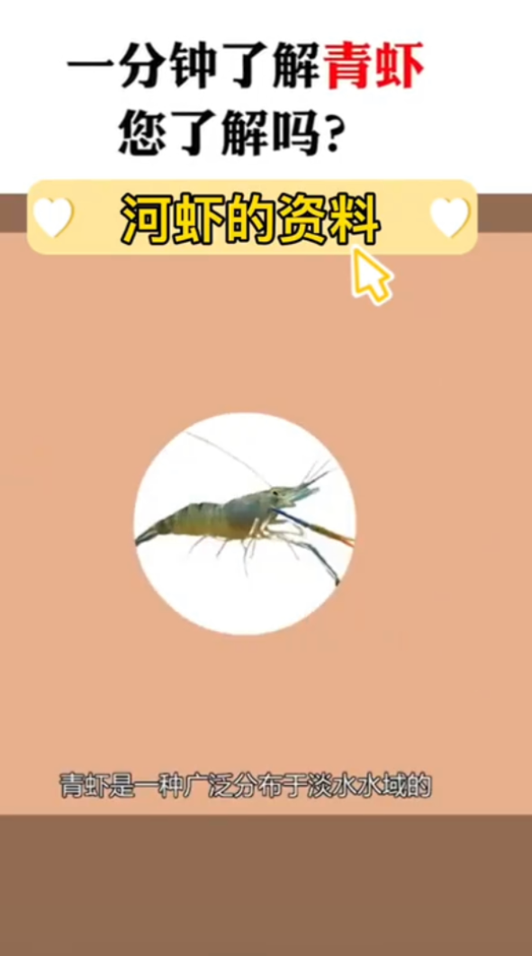 河虾的资料。    