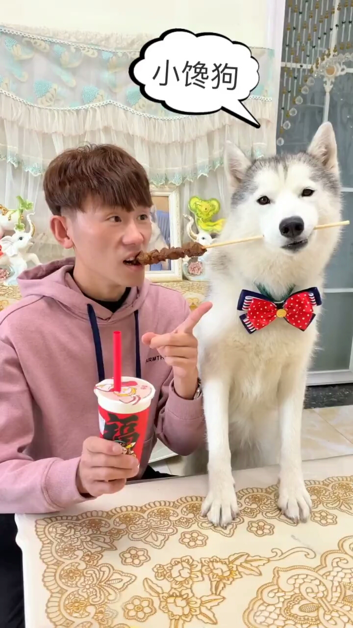 金毛蛋黄:  这个照片不一般