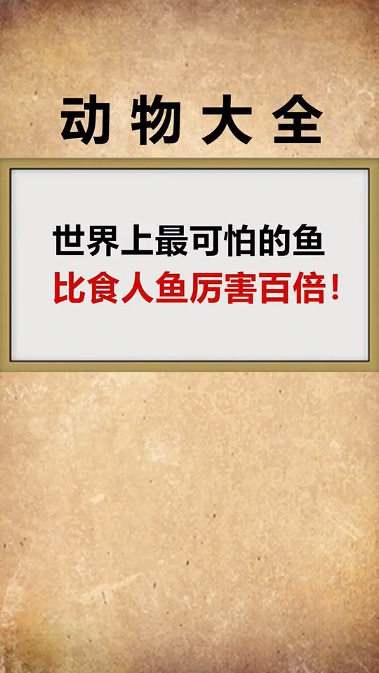 最可怕的鱼,你见过吗?