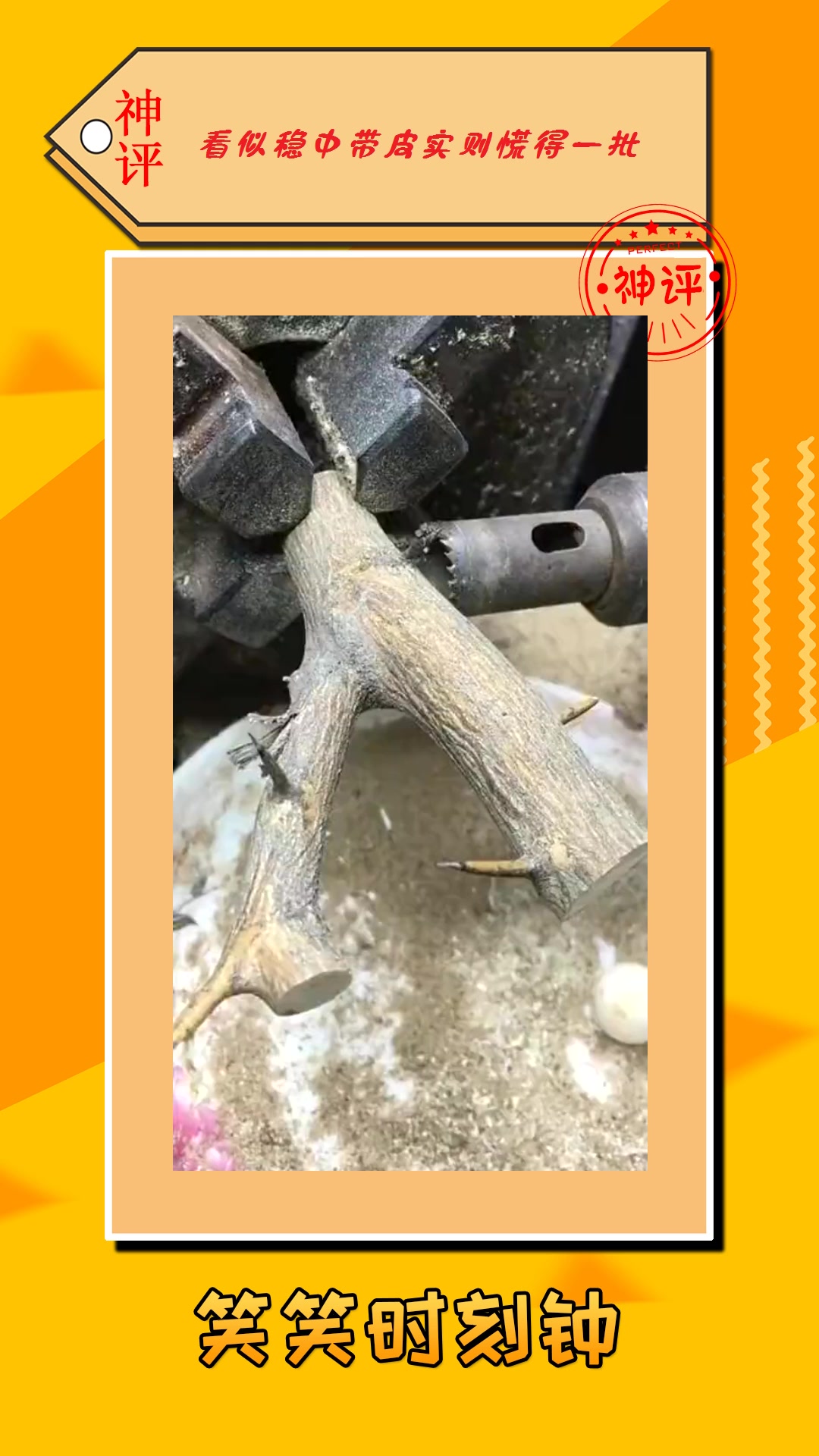 #我要上热门#水果树枝盘珠子,你能看出来这是什么品种的水果树吗