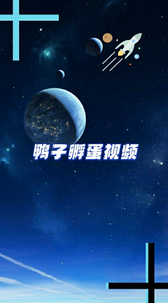 鸭子孵蛋视频  