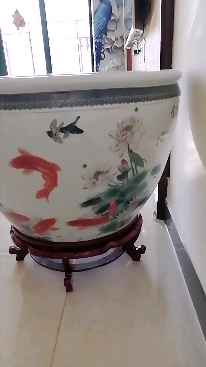 景德镇陶瓷鱼缸