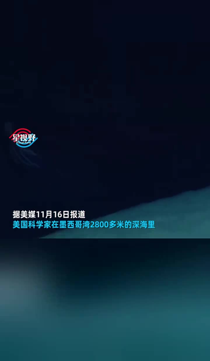 科学家在深海拍到巨型鱿鱼,最大可长到6米多,网友:口感如何