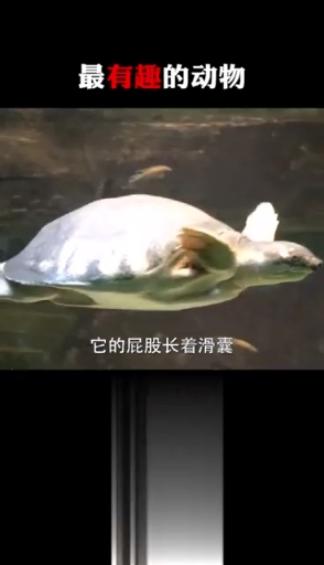 #全民涨知识#动物的这些秘密你知道吗