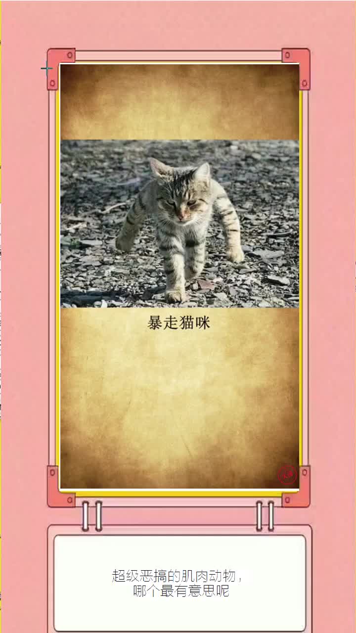 超级恶搞的肌肉动物,哪个最有意思呢