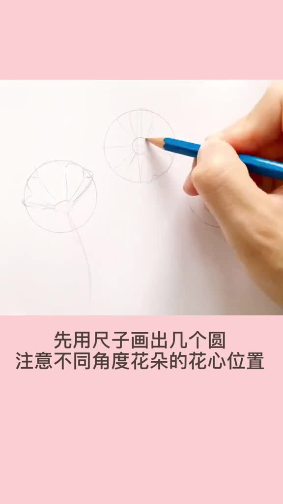 内心充满阳光,时光会让你满载而归桑格花,象征吉祥和幸福画画,插画,手绘,画画教程