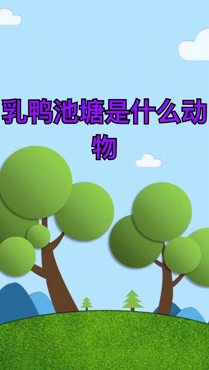 乳鸭池塘是什么动物