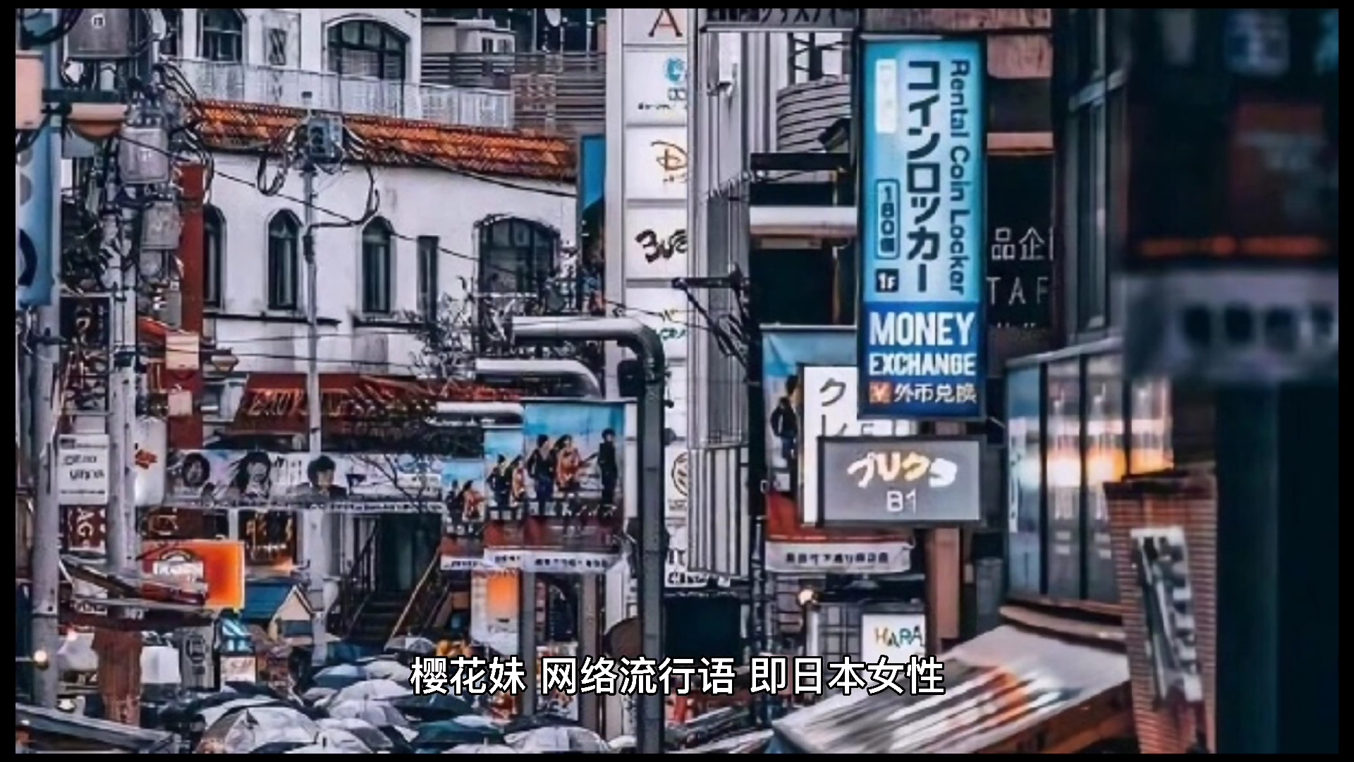 樱花妹,是什么意思?