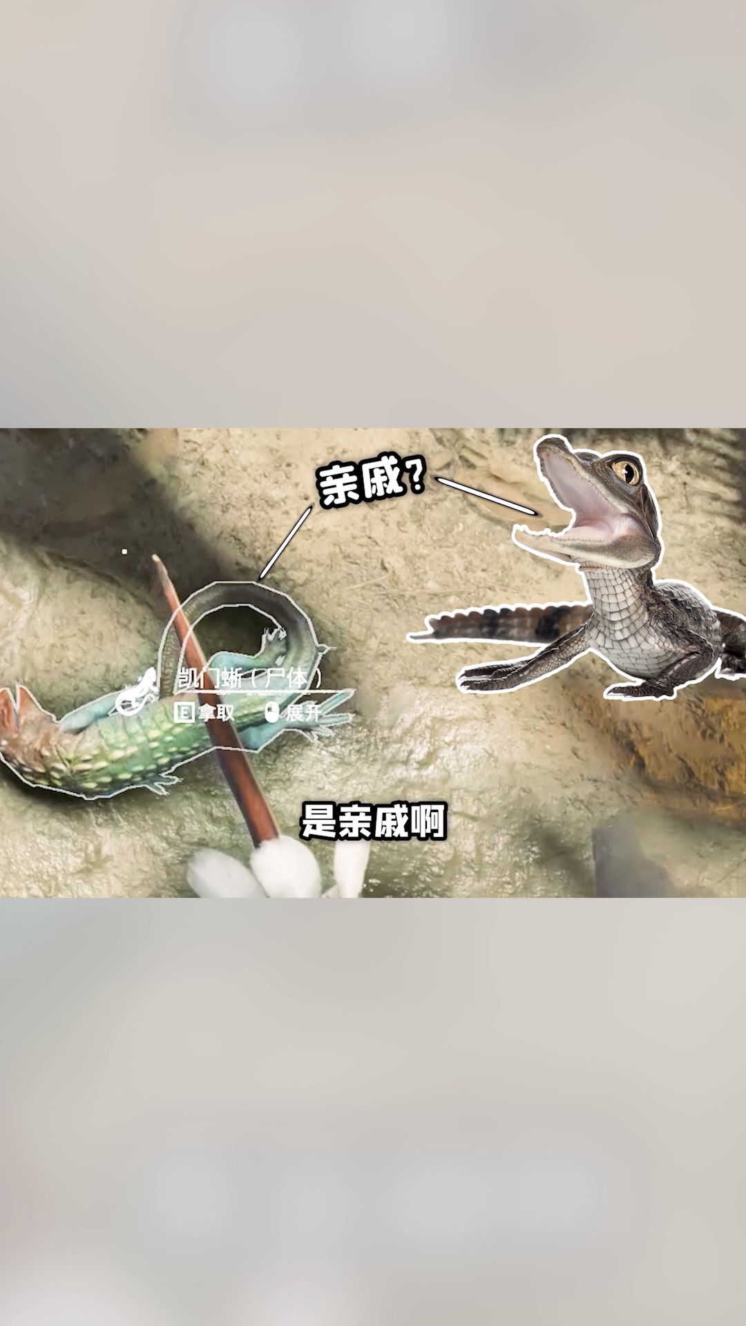 绿色地狱:刚杀头鳄鱼,没想到豹子潜伏已久,吓得我赶紧躲水里了