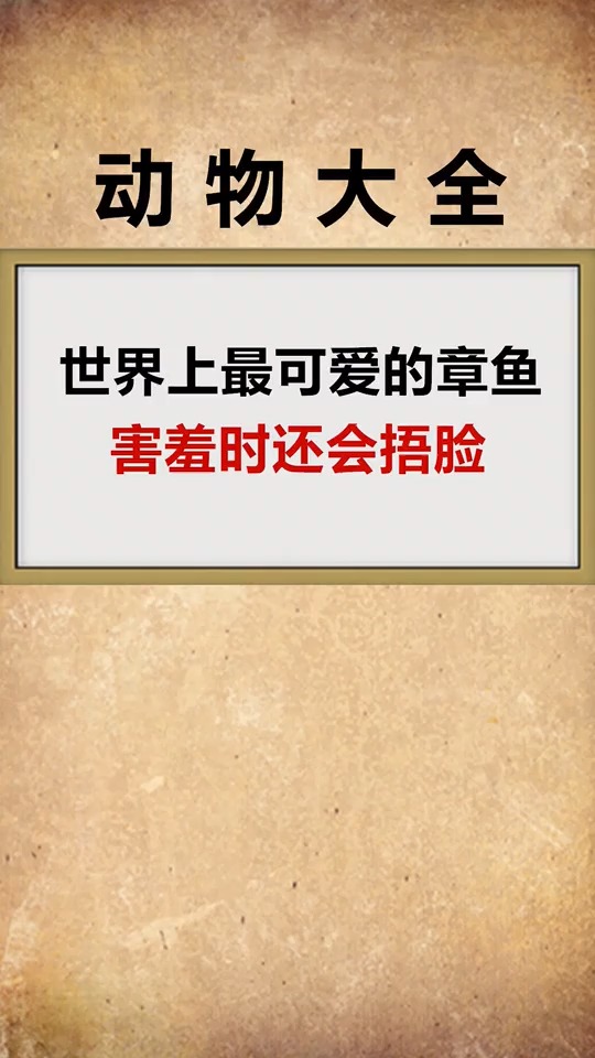 这么可爱的章鱼,你还想吃吗?