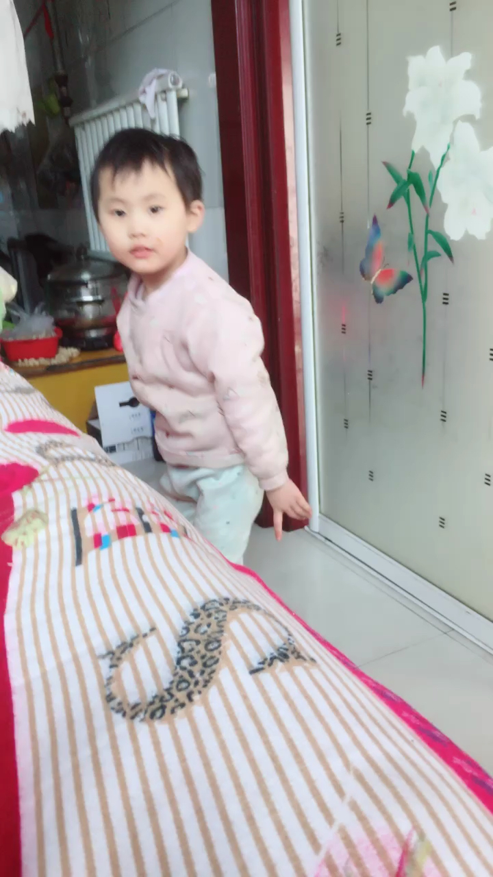可爱小鱼