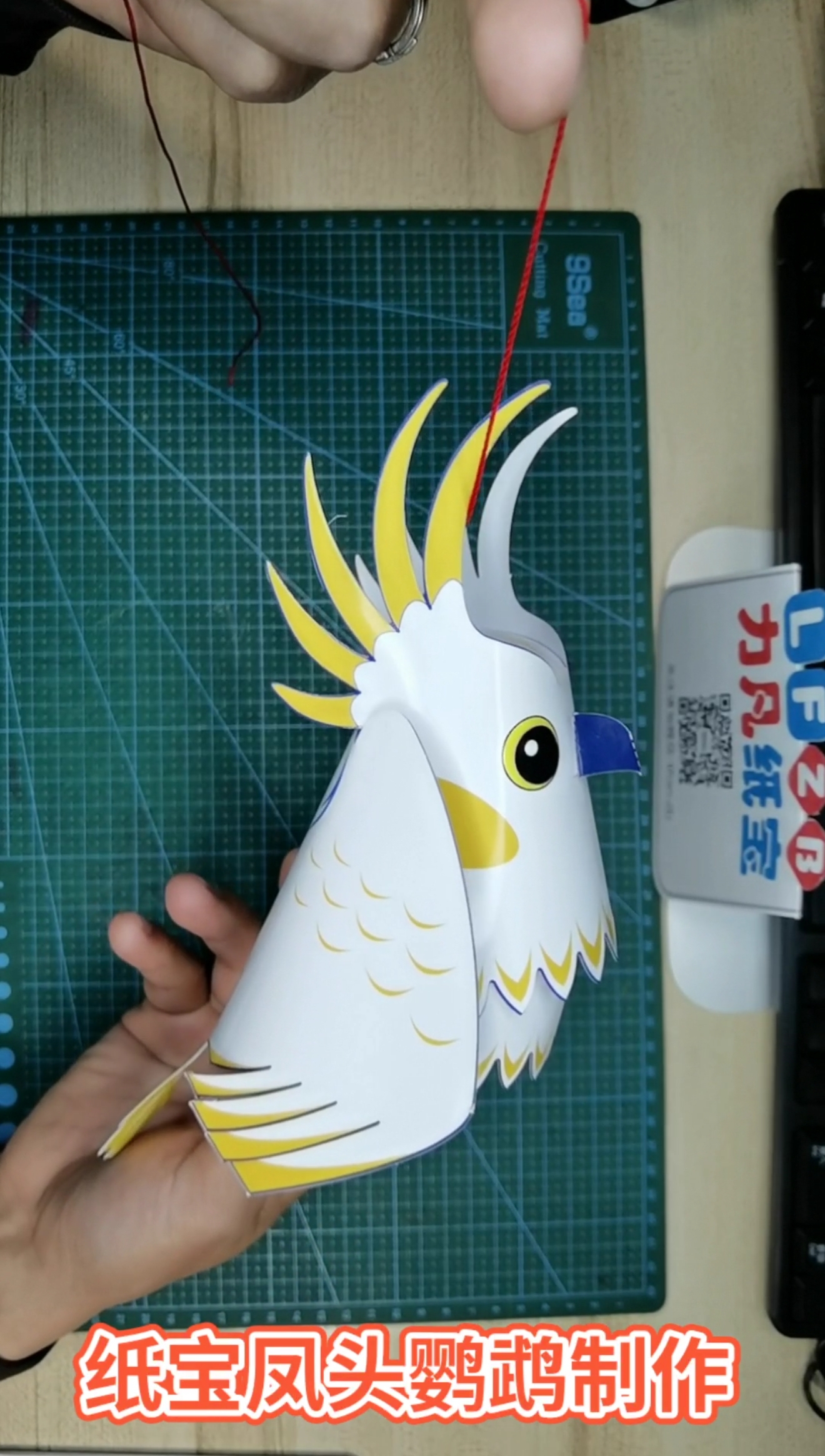 #这是高手#纸宝凤头鹦鹉制作过程#亲子手工纸模型纸艺3D立体纸雕手工制作#绝美