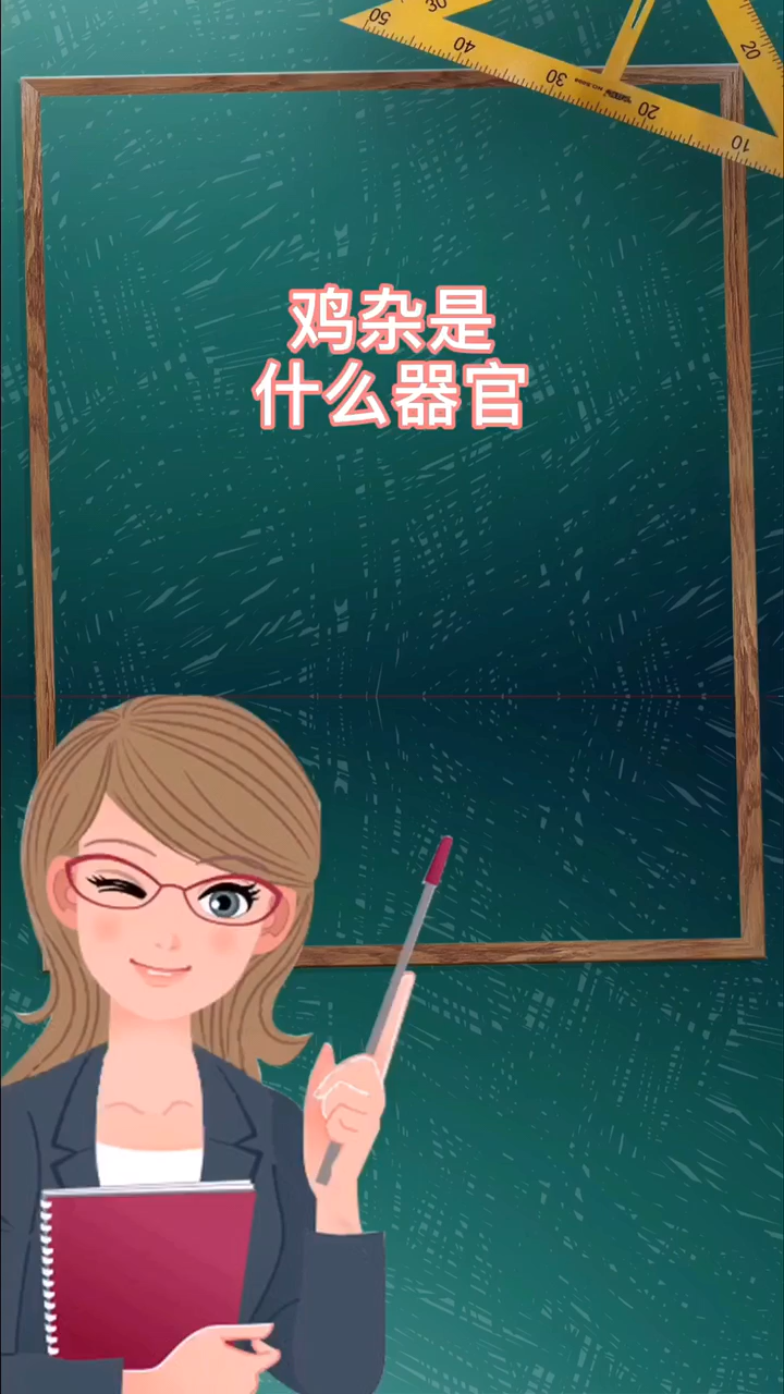 鸡杂是什么器官我来告诉你