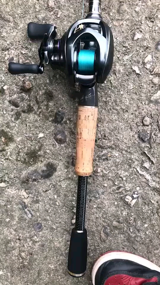 白鳜也疯狂。这是大眼鳜还是翘嘴鳜? 