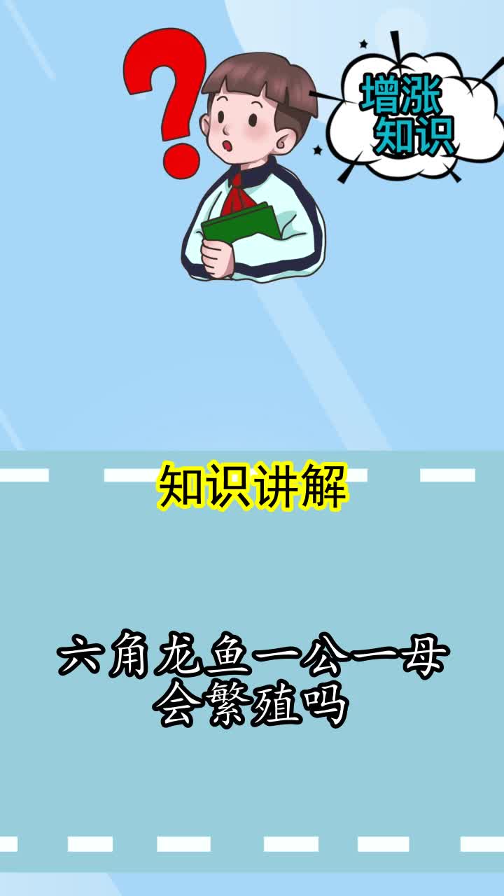 六角龙鱼一公一母会繁殖吗,你懂了吗