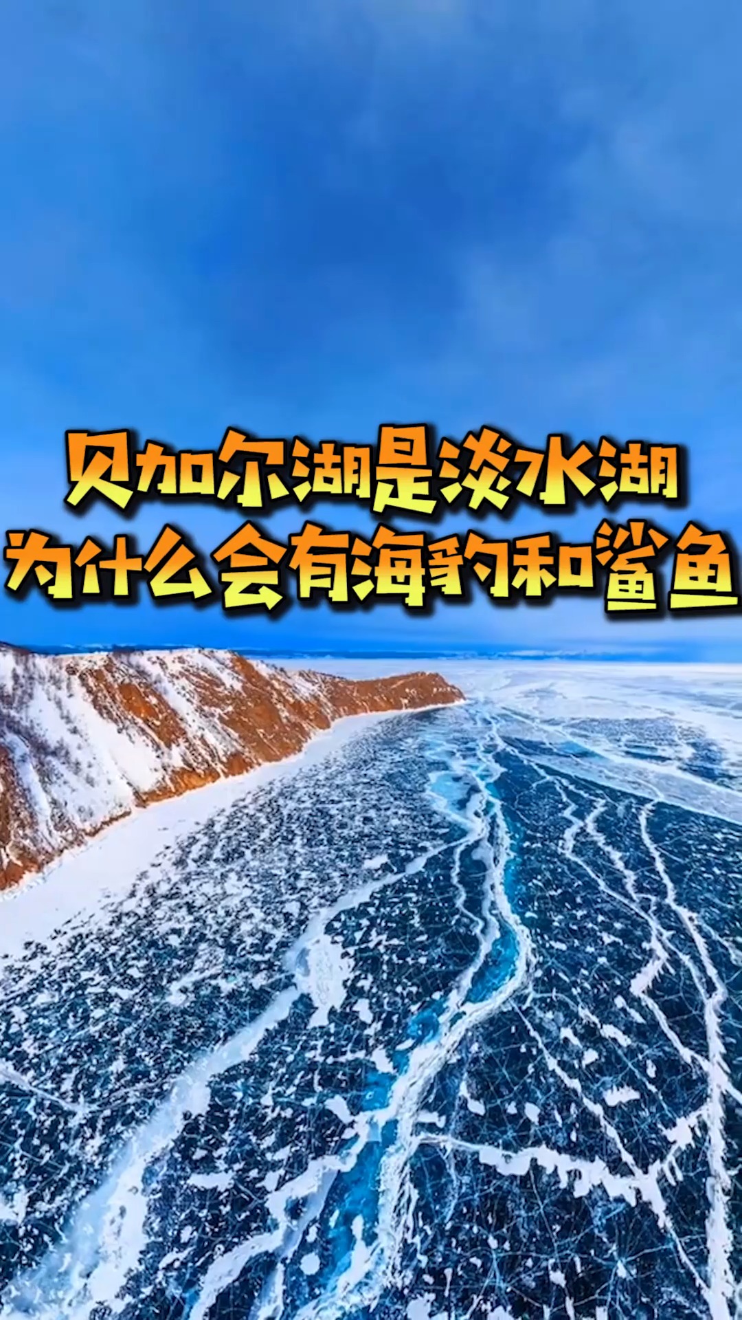 贝加尔湖是淡水湖,却为什么会有海豹和鲨鱼