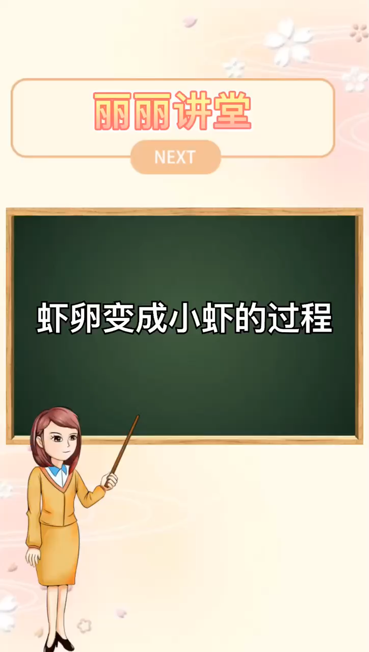 虾卵变成小虾过程