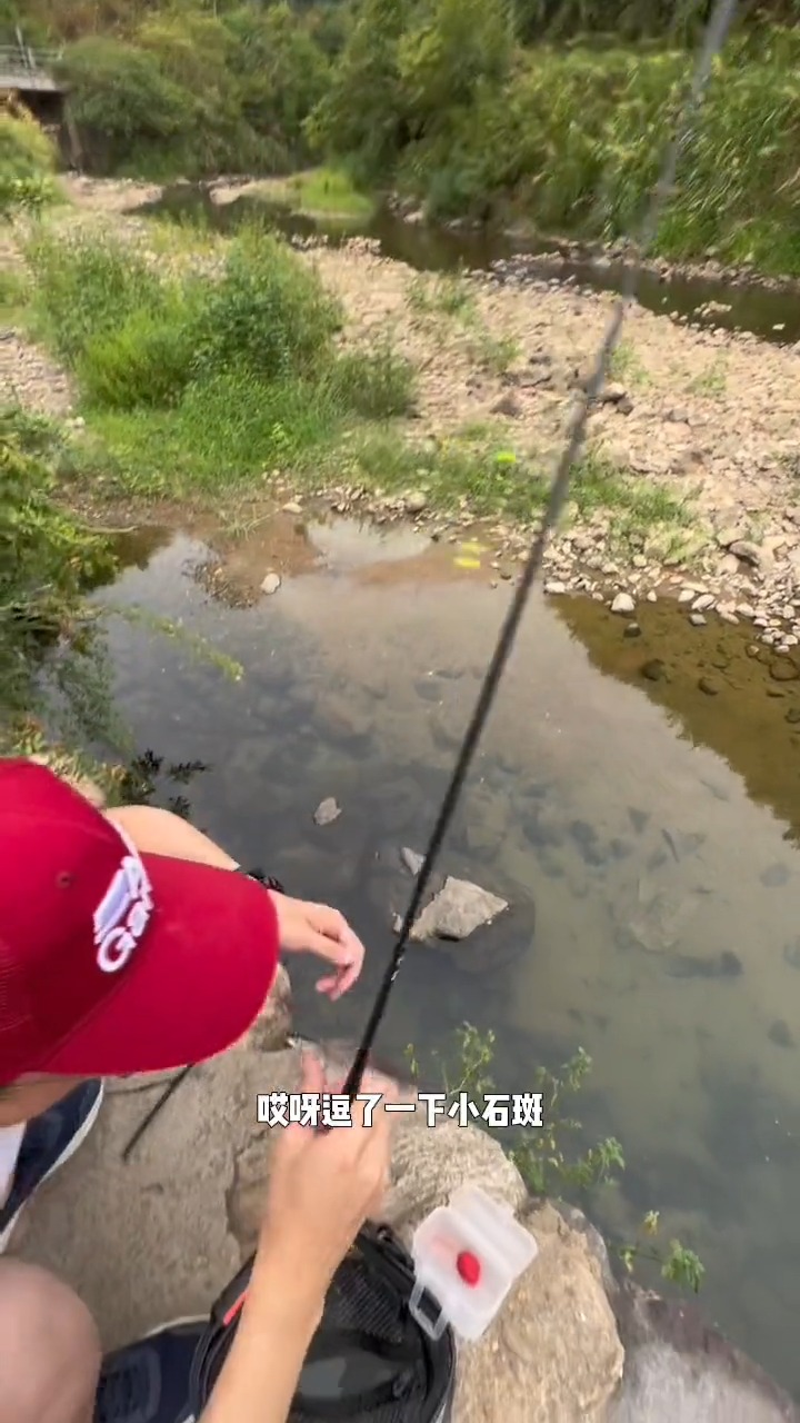 #钓鱼#想不到这个小水潭石头边小石斑鱼挺多#溪流钓