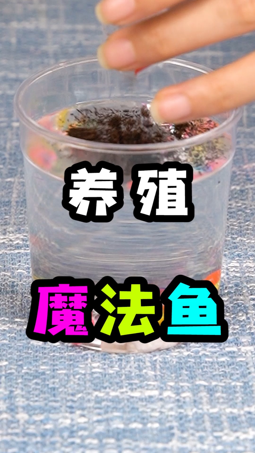 #搞笑段子#用泥土能孵化出魔法鱼?一起来看下能不能见证证明的奇迹?