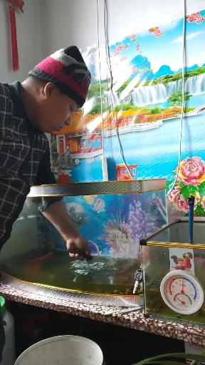 朋友们今日下午清理鱼缸。谢谢朋友们观看我的视频。