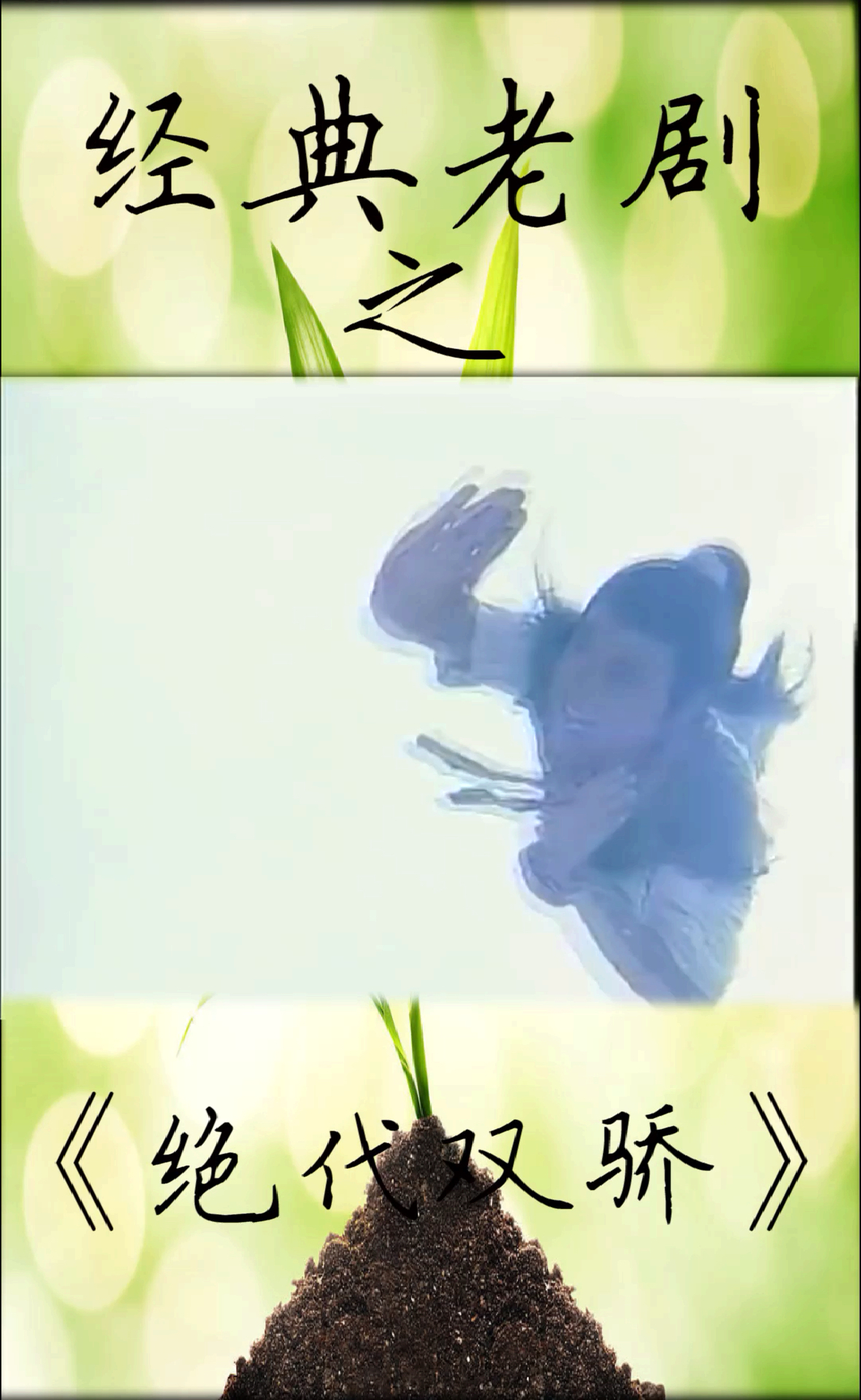 小鱼儿花无缺剑冢比斗