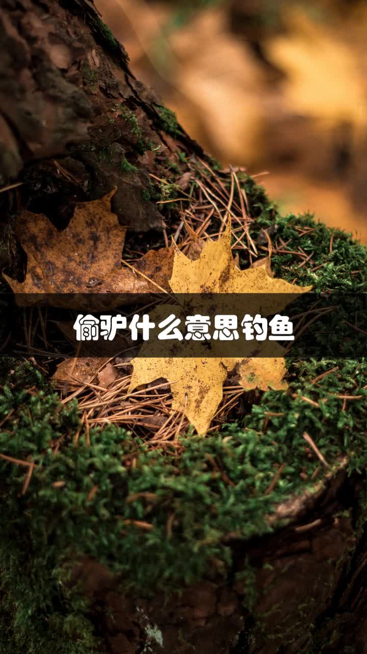 偷驴什么意思钓鱼