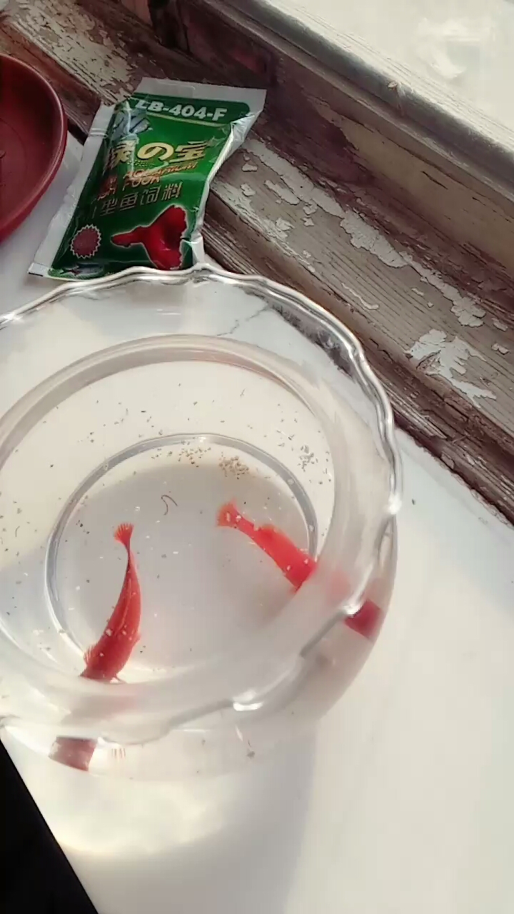 分享视频