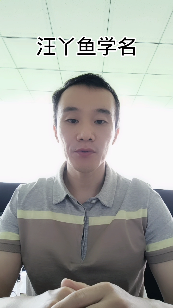   汪丫鱼学名。
