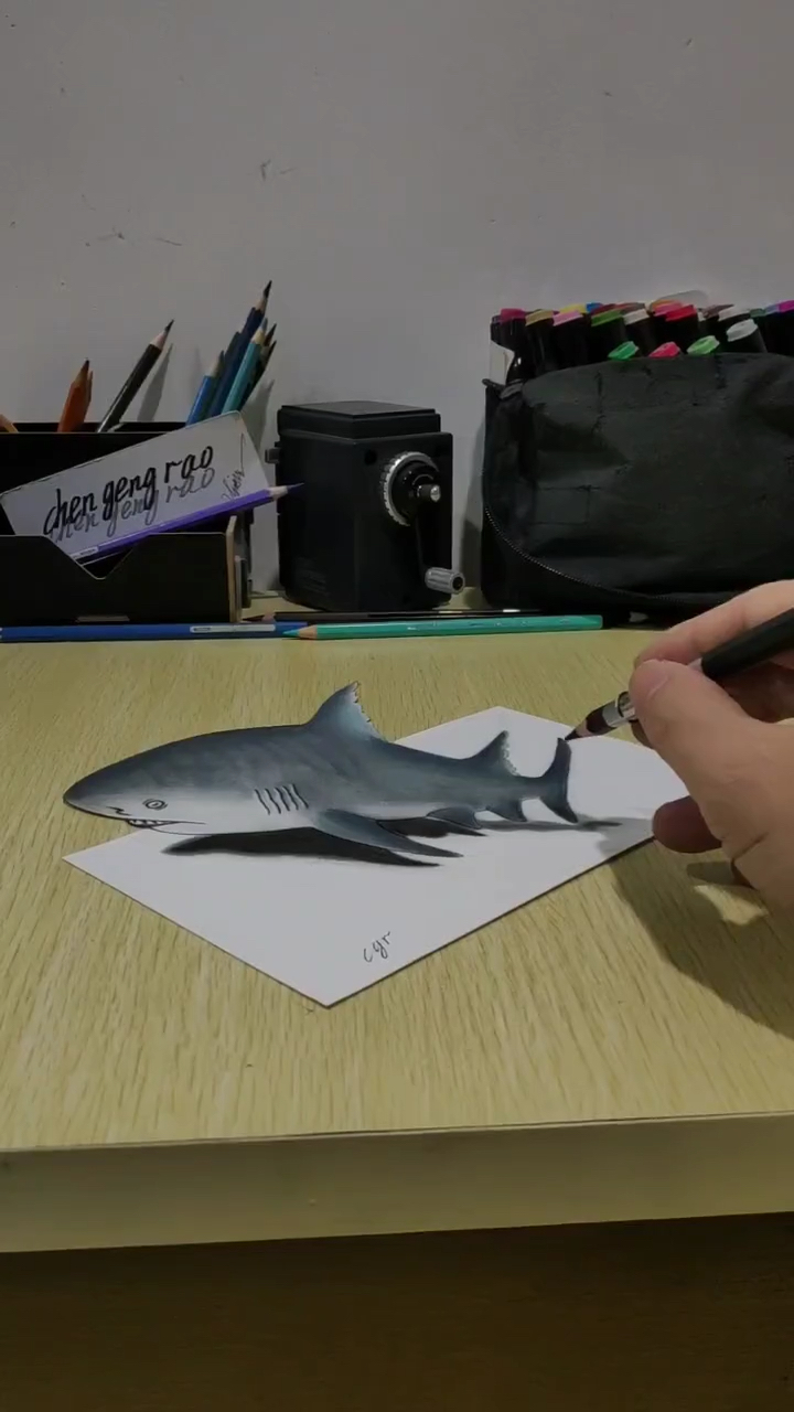 神奇的鲨鱼,平面纸上的3D立体画……
