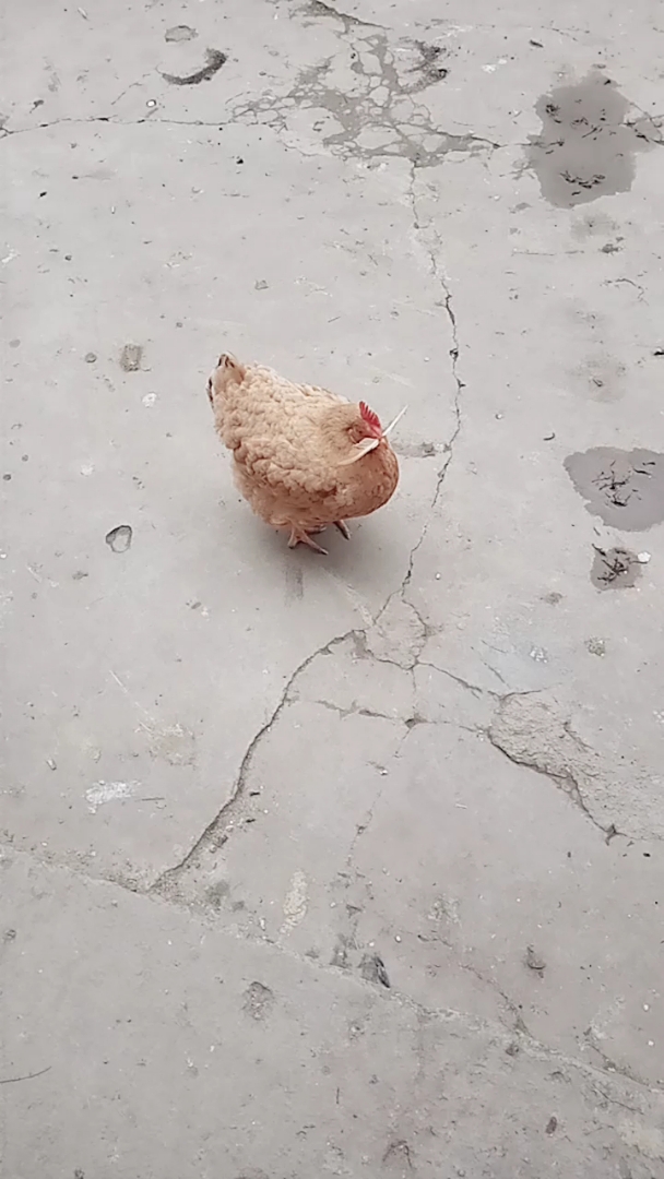 这是什么意思?