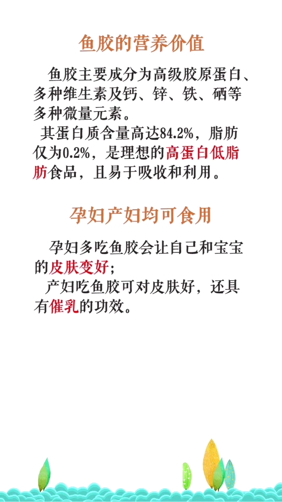 鱼胶怎么泡发