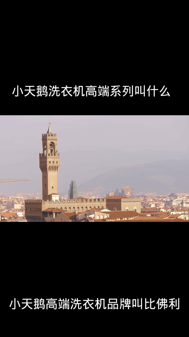 小天鹅洗衣机高端系列叫什么
